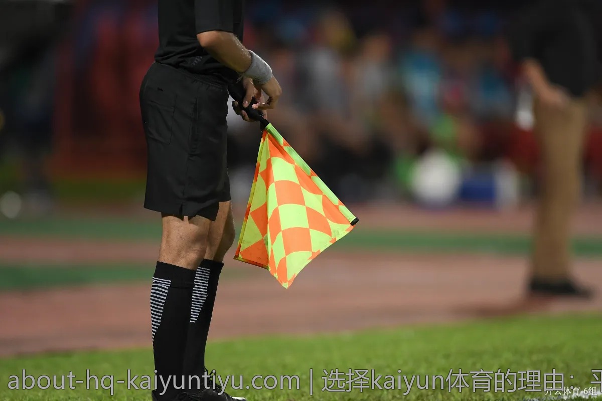 选择kaiyun体育的理由：平台优势与用户反馈