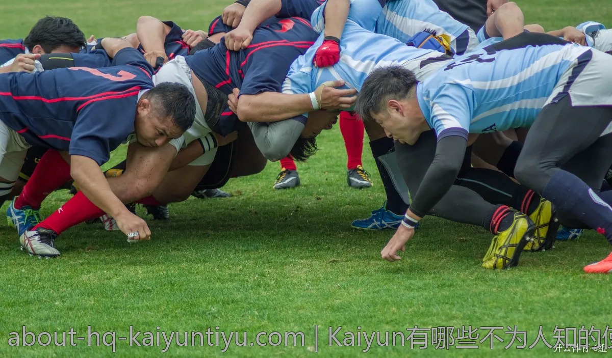 Kaiyun有哪些不为人知的使用技巧？一起来看看