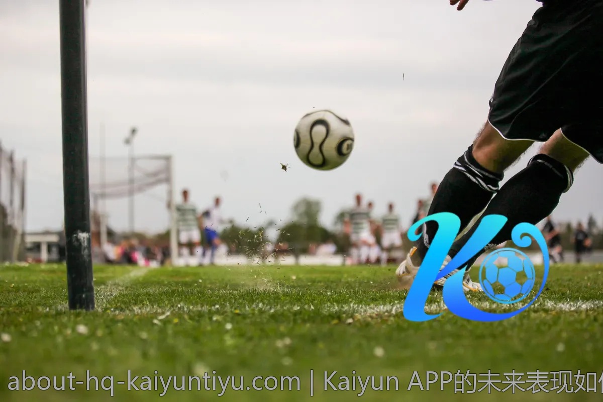 Kaiyun APP的未来表现如何？用户期待哪些新功能？